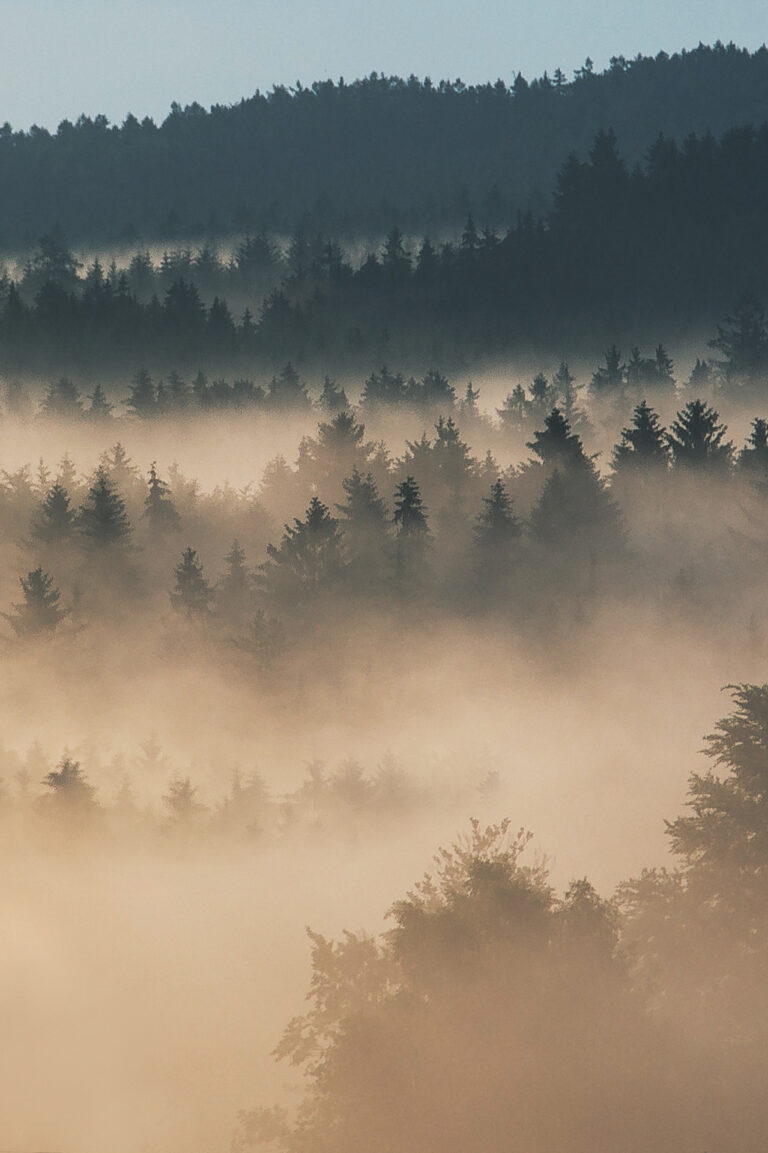 Foggy Highland Photos for Instagram: Essential Tips